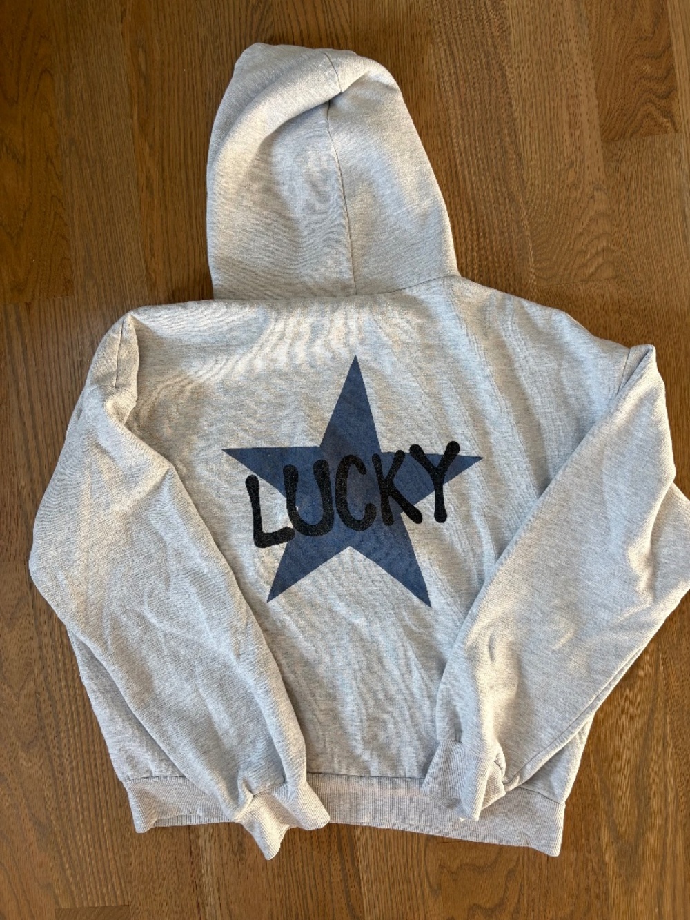 Subdued "Lucky" hoodie with large blue star graphic on the back. Small